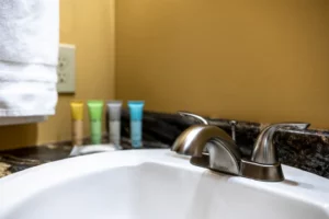 Lower Level Ensuite Full Bathroom