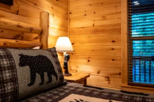 Main Level King Suite