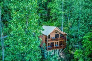 Wears Valley Cabin with a Great View