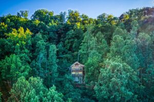 Secluded Wears Valley Cabin