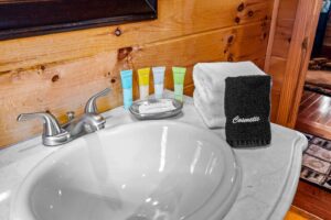 Main Level Full Bathroom #2