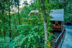Secluded Wears Valley Cabin