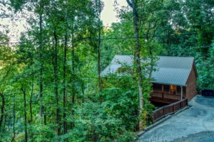 Secluded Wears Valley Cabin